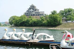 swan boats on asahi river near okayama castle