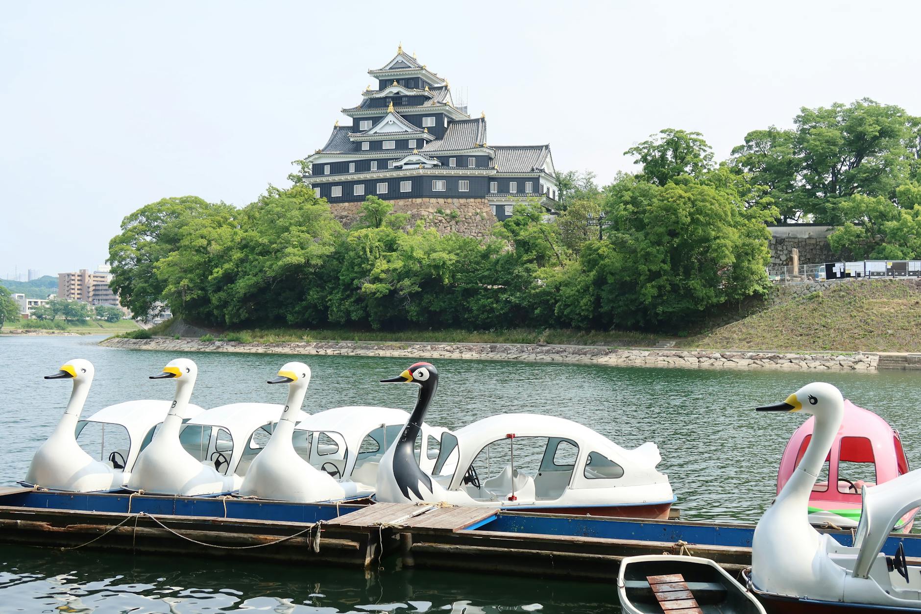 swan boats on asahi river near okayama castle