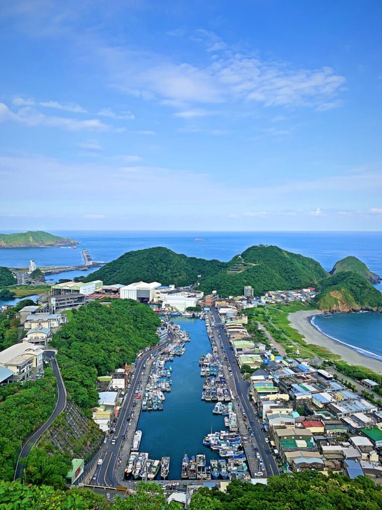 aerial view of town near body of water